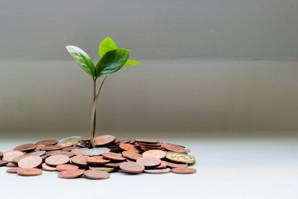 Small green plant growing from a pile of coins, symbolizing financial growth and starting small with budgeting