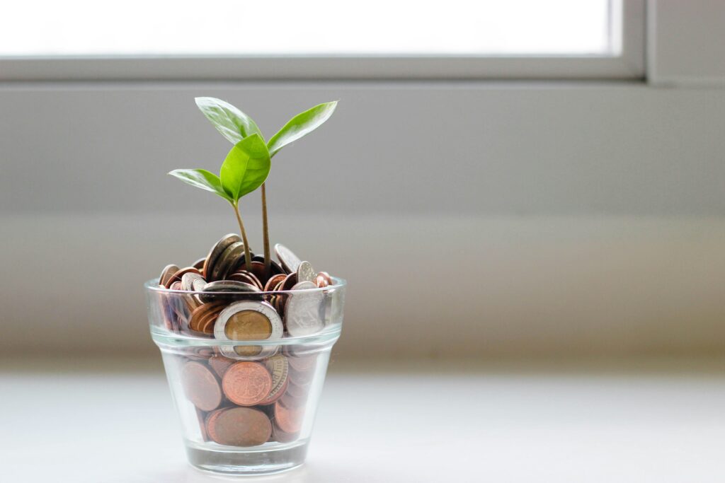 Small green plant growing from a glass filled with coins, symbolizing financial growth and rebuilding your budget after a bad month.